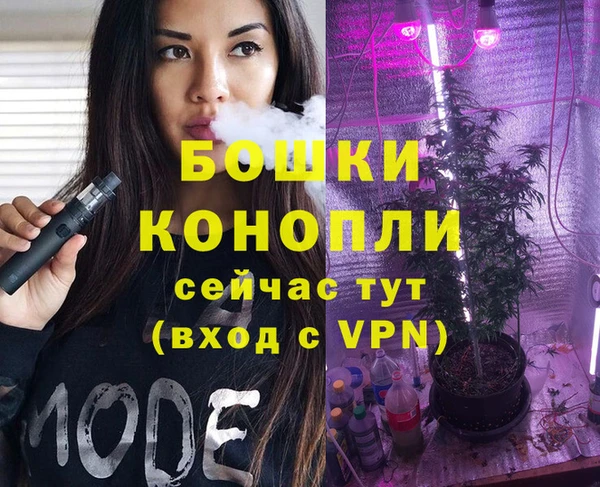 мет Бородино
