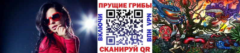 Псилоцибиновые грибы Magic Shrooms  магазин  наркотиков  Белозерск 